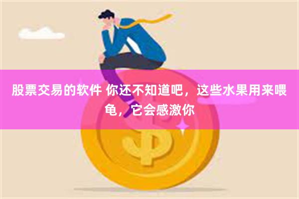 股票交易的软件 你还不知道吧，这些水果用来喂龟，它会感激你