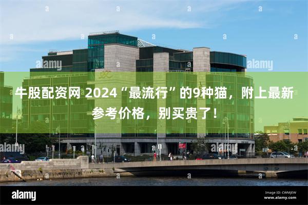 牛股配资网 2024“最流行”的9种猫，附上最新参考价格，别买贵了！