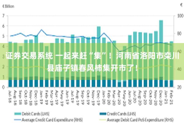 证券交易系统 一起来赶“集”！河南省洛阳市栾川县庙子镇春风柿集开市了！