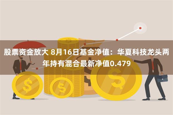 股票资金放大 8月16日基金净值：华夏科技龙头两年持有混合最新净值0.479