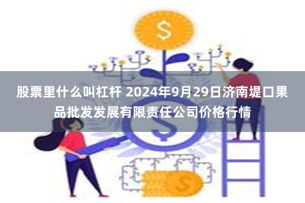 股票里什么叫杠杆 2024年9月29日济南堤口果品批发发展有限责任公司价格行情