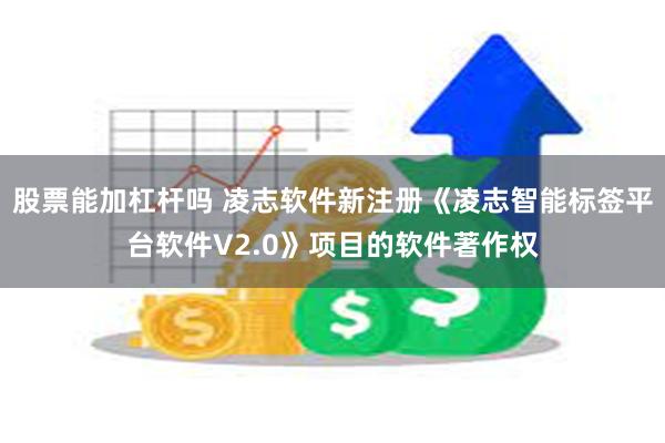 股票能加杠杆吗 凌志软件新注册《凌志智能标签平台软件V2.0》项目的软件著作权