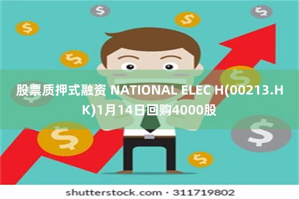 股票质押式融资 NATIONAL ELEC H(00213.HK)1月14日回购4000股