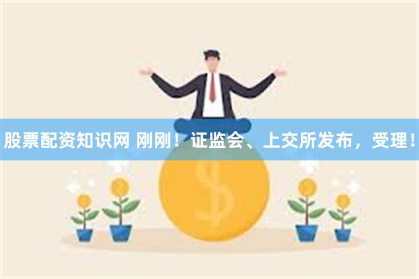 股票配资知识网 刚刚！证监会、上交所发布，受理！