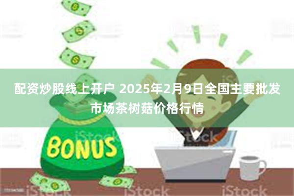 配资炒股线上开户 2025年2月9日全国主要批发市场茶树菇价格行情