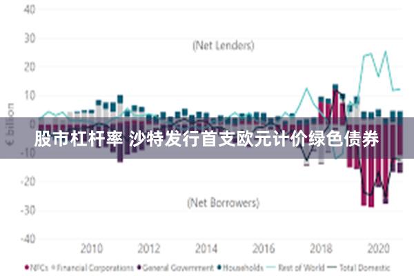 股市杠杆率 沙特发行首支欧元计价绿色债券